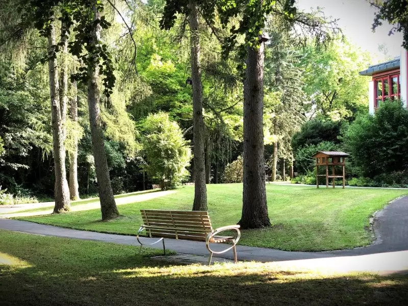 Unser Park im Sommer. Unser Park im Sommer.